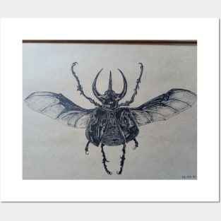 Atlas Beetle Posters and Art